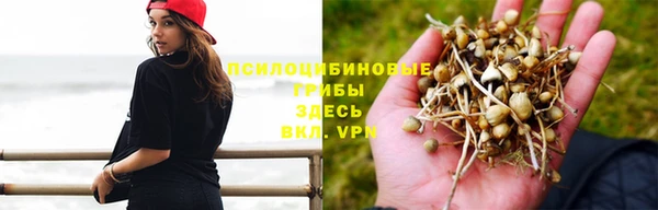 не бодяженный Белокуриха