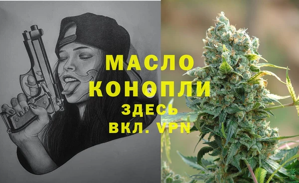 молекула духа Богданович
