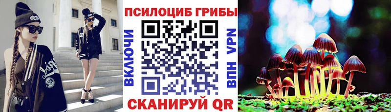 Галлюциногенные грибы Magic Shrooms  купить наркоту  Сковородино 