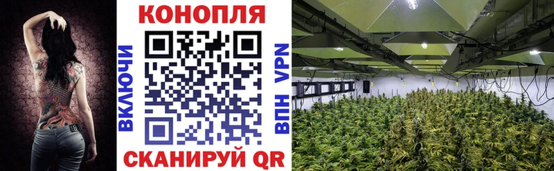 МАРИХУАНА VHQ  Сковородино 